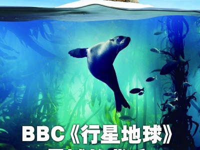 BBC《行星地球》震撼的背后