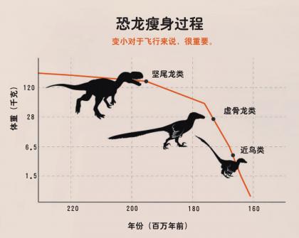 恐龙是如何变成鸟的？