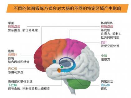 快来运动，让你更聪明