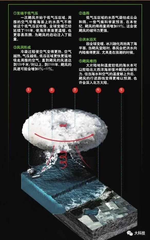 飓风来临时， 海洋动物怎么办？