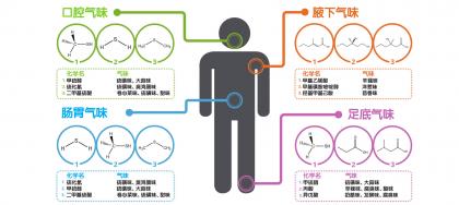 每个人身上的体味是怎么来的？