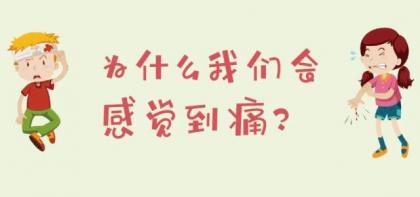 为什么我们会感觉到痛？